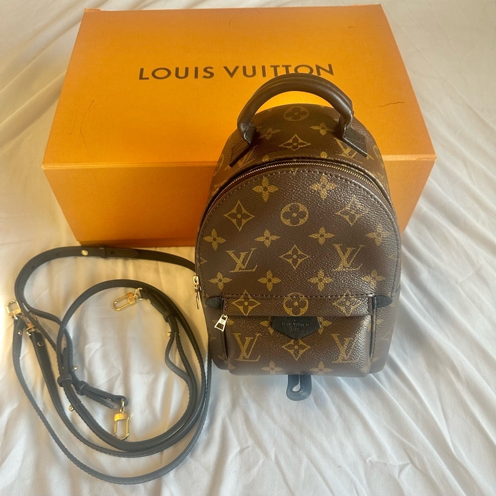 Louis Vuitton Palm Springs Mini Monogram Canvas
